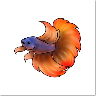 Fish - Betta Fish - Orange Indigo Posters and Art